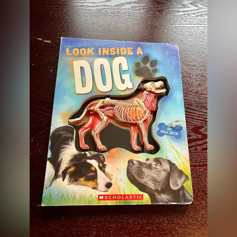 Scholastic books are